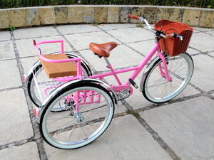 Tricicleta pink flamingo banca chica RIN RIN BICLAS