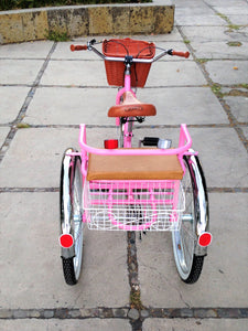 Tricicleta pink flamingo banca chica RIN RIN BICLAS