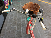Cargar imagen en el visor de la galería, Curve D Coco 2018 RIN RIN BICLAS
