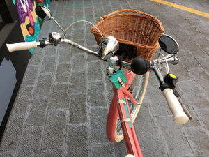 Curve D Coco 2018 RIN RIN BICLAS