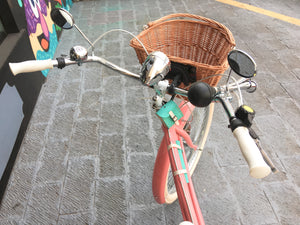 Curve D Coco 2018 RIN RIN BICLAS