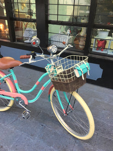 Slim D Sky Ferreira 5.0 RIN RIN BICLAS