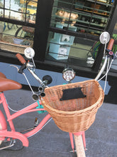 Cargar imagen en el visor de la galería, Curve D Coco 2018 RIN RIN BICLAS
