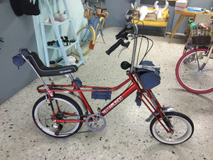 Par de bicicletas Vagabundo y Rally N RIN RIN BICLAS