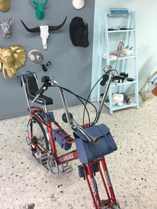 Par de bicicletas Vagabundo y Rally N RIN RIN BICLAS