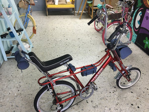 Par de bicicletas Vagabundo y Rally N RIN RIN BICLAS