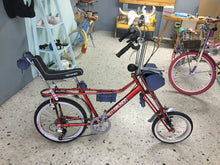 Cargar imagen en el visor de la galería, Par de bicicletas Vagabundo y Rally N RIN RIN BICLAS
