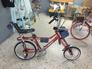 Par de bicicletas Vagabundo y Rally N RIN RIN BICLAS