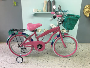 Par de bicicletas Vagabundo y Rally N RIN RIN BICLAS