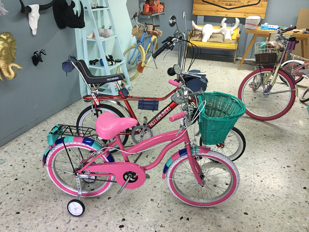 Par de bicicletas Vagabundo y Rally N RIN RIN BICLAS