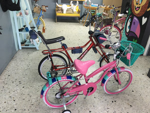 Par de bicicletas Vagabundo y Rally N RIN RIN BICLAS