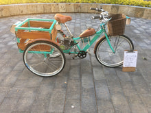 Cargar imagen en el visor de la galería, Tricimoto Cinderella´s Castle 2022 RIN RIN BICLAS
