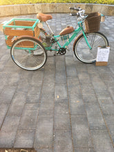 Cargar imagen en el visor de la galería, Tricimoto Cinderella´s Castle 2022 RIN RIN BICLAS
