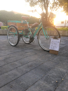 Tricimoto Cinderella´s Castle 2022 RIN RIN BICLAS