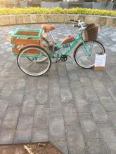 Cargar imagen en el visor de la galería, Tricimoto Cinderella´s Castle 2022 RIN RIN BICLAS
