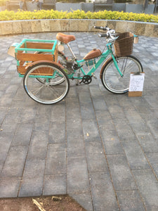 Tricimoto Cinderella´s Castle 2022 RIN RIN BICLAS