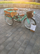 Cargar imagen en el visor de la galería, Tricimoto Cinderella´s Castle 2022 RIN RIN BICLAS
