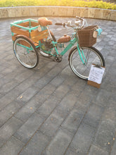Cargar imagen en el visor de la galería, Tricimoto Cinderella´s Castle 2022 RIN RIN BICLAS
