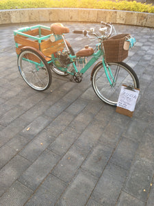 Tricimoto Cinderella´s Castle 2022 RIN RIN BICLAS