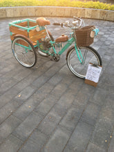 Cargar imagen en el visor de la galería, Tricimoto Cinderella´s Castle 2022 RIN RIN BICLAS
