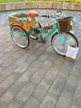 Cargar imagen en el visor de la galería, Tricimoto Cinderella´s Castle 2022 RIN RIN BICLAS
