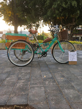 Cargar imagen en el visor de la galería, Tricimoto Cinderella´s Castle 2022 RIN RIN BICLAS
