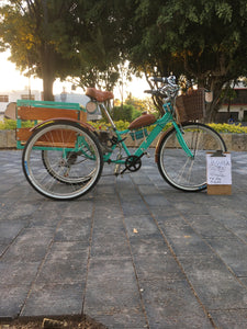 Tricimoto Cinderella´s Castle 2022 RIN RIN BICLAS