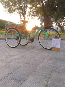 Tricimoto Cinderella´s Castle 2022 RIN RIN BICLAS