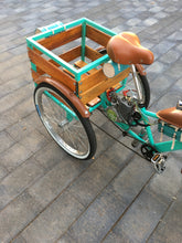 Cargar imagen en el visor de la galería, Tricimoto Cinderella´s Castle 2022 RIN RIN BICLAS
