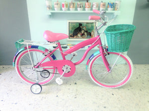 Rally N R20 Everlasting Fun RIN RIN BICLAS