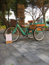 Cargar imagen en el visor de la galería, Tricimoto Cinderella´s Castle 2022 RIN RIN BICLAS
