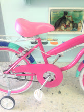 Cargar imagen en el visor de la galería, Rally N R20 Everlasting Fun RIN RIN BICLAS
