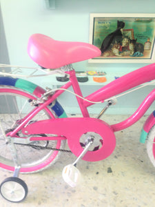 Rally N R20 Everlasting Fun RIN RIN BICLAS