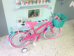 Rally N R20 Everlasting Fun RIN RIN BICLAS