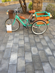 Tricimoto Cinderella´s Castle 2022 RIN RIN BICLAS