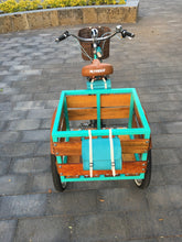 Cargar imagen en el visor de la galería, Tricimoto Cinderella´s Castle 2022 RIN RIN BICLAS
