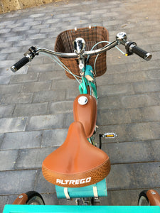 Tricimoto Cinderella´s Castle 2022 RIN RIN BICLAS
