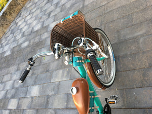 Tricimoto Cinderella´s Castle 2022 RIN RIN BICLAS