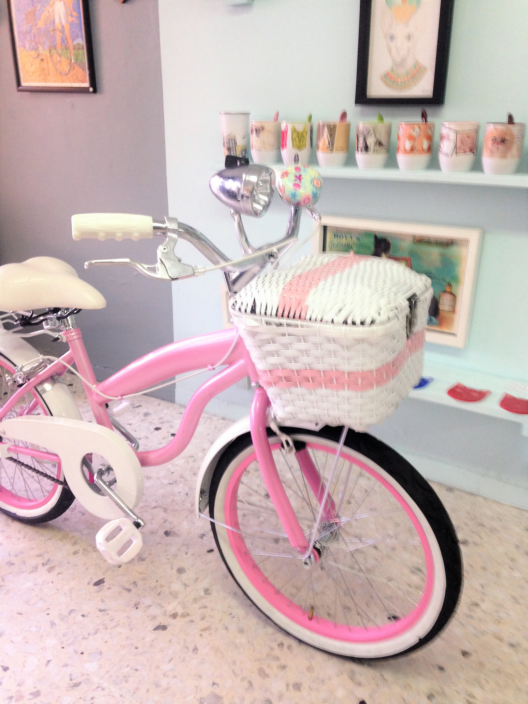 Rally N R20 Princess Leia 2022 RIN RIN BICLAS