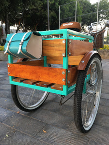 Tricimoto Cinderella´s Castle 2022 RIN RIN BICLAS