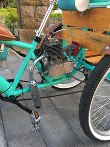 Tricimoto Cinderella´s Castle 2022 RIN RIN BICLAS