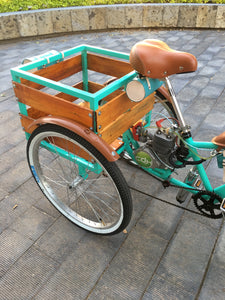 Tricimoto Cinderella´s Castle 2022 RIN RIN BICLAS