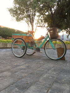 Tricimoto Cinderella´s Castle 2022 RIN RIN BICLAS
