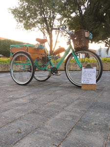 Tricimoto Cinderella´s Castle 2022 RIN RIN BICLAS