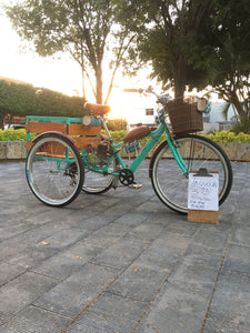 Tricimoto Cinderella´s Castle 2022 RIN RIN BICLAS