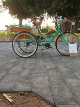 Cargar imagen en el visor de la galería, Tricimoto Cinderella´s Castle 2022 RIN RIN BICLAS
