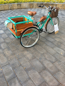 Tricimoto Cinderella´s Castle 2022 RIN RIN BICLAS