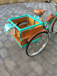 Tricimoto Cinderella´s Castle 2022 RIN RIN BICLAS