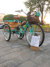 Cargar imagen en el visor de la galería, Tricimoto Cinderella´s Castle 2022 RIN RIN BICLAS
