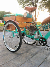 Cargar imagen en el visor de la galería, Tricimoto Cinderella´s Castle 2022 RIN RIN BICLAS
